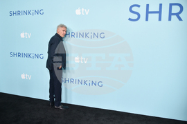 "Shrinking" FYC