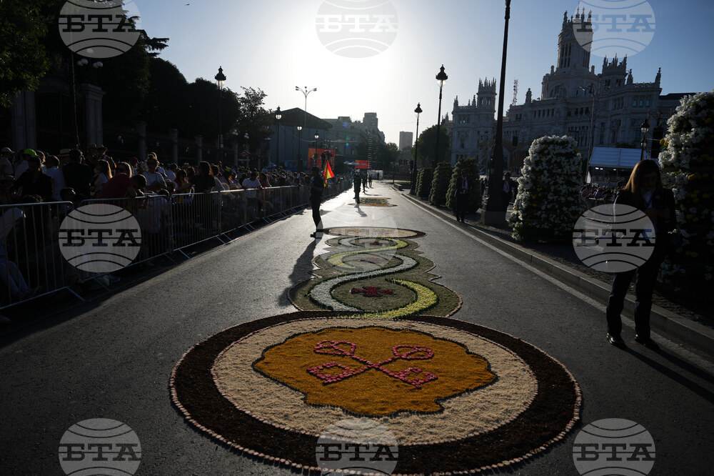 Spain Pope