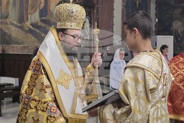 Видин - митрополит Пахомий - литургия - Неделя на всички светии