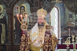 Видин - митрополит Пахомий - литургия - Неделя на всички светии