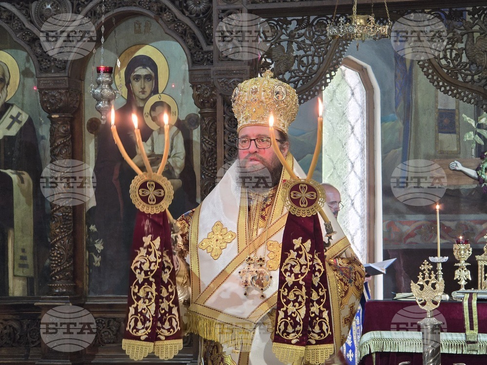 Видин - митрополит Пахомий - литургия - Неделя на всички светии