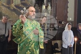Видин - митрополит Пахомий - литургия - Неделя на всички светии