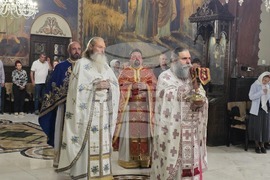 Видин - митрополит Пахомий - литургия - Неделя на всички светии