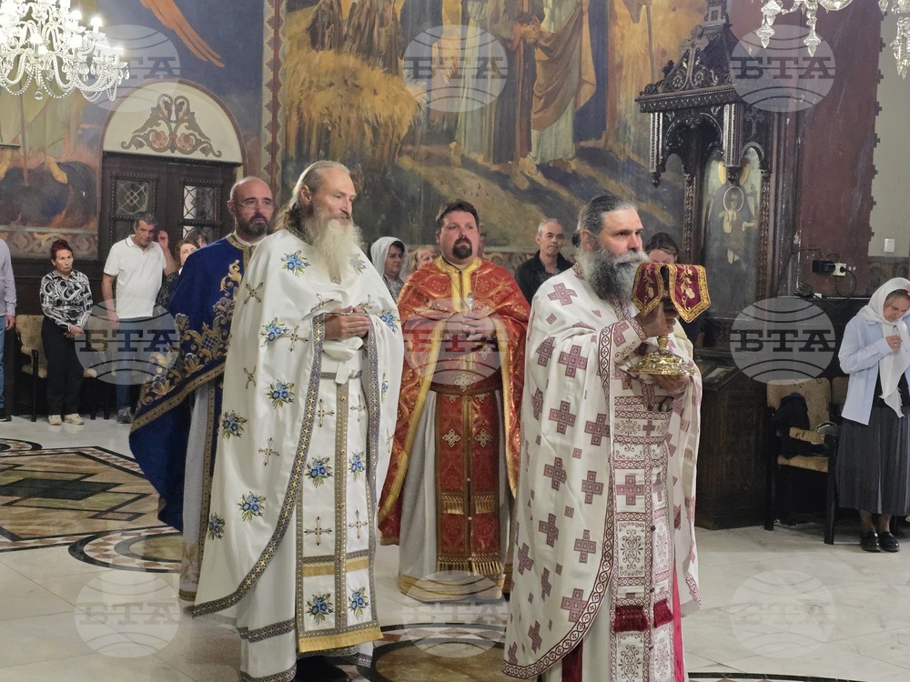 Видин - митрополит Пахомий - литургия - Неделя на всички светии