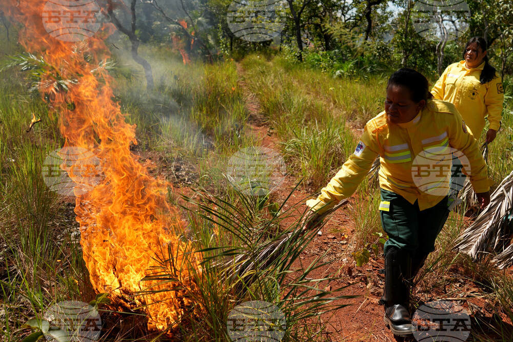Brazil Indigenous Fighting Wildfires