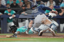 Rays Marlins Baseball