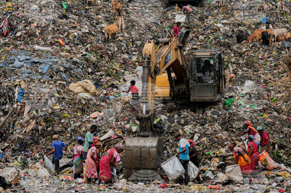 APTOPIX India World Environment Day