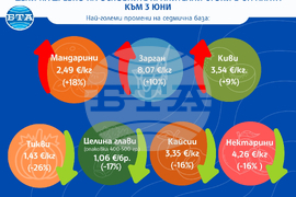 САПИ - Цени на дребно на основните хранителни стоки в страната към 3 юни