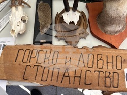 Самоков - Панорама на средното образование