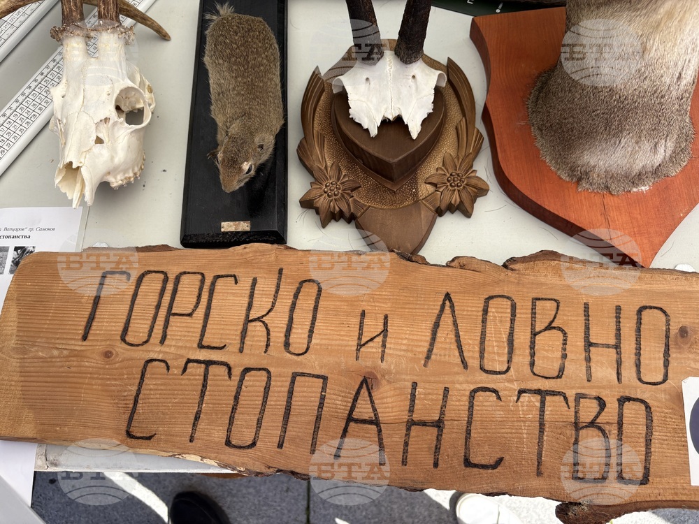Самоков - Панорама на средното образование