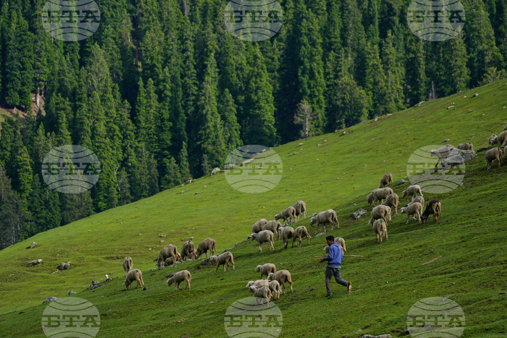India Kashmir Daily Life