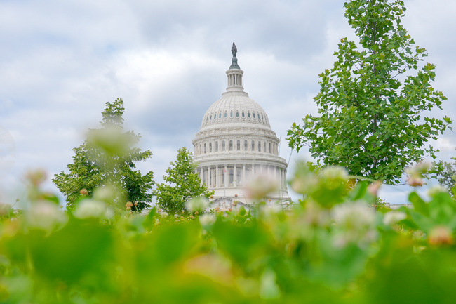 U.S. Capitol