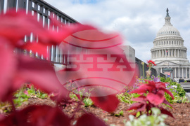U.S. Capitol