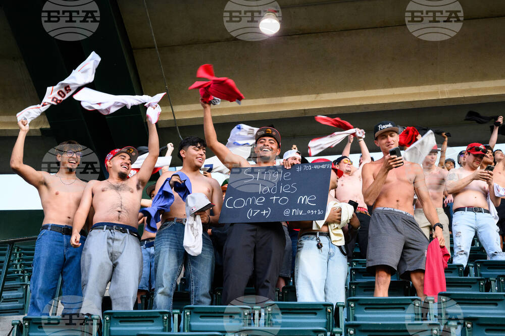 Astros Angels Baseball