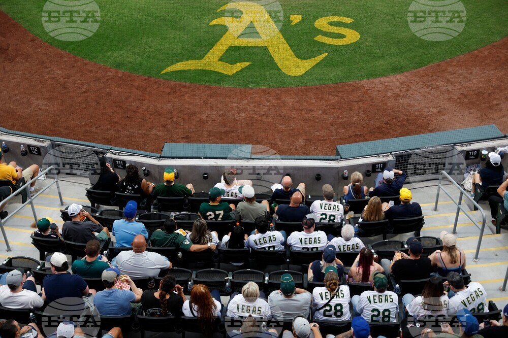 Brewers Athletics Baseball