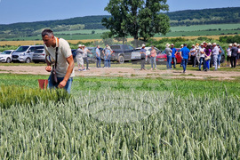 Разград - Ден на пшеницата - земеделци