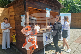 Разград - Панорама на средното образование - гимназисти
