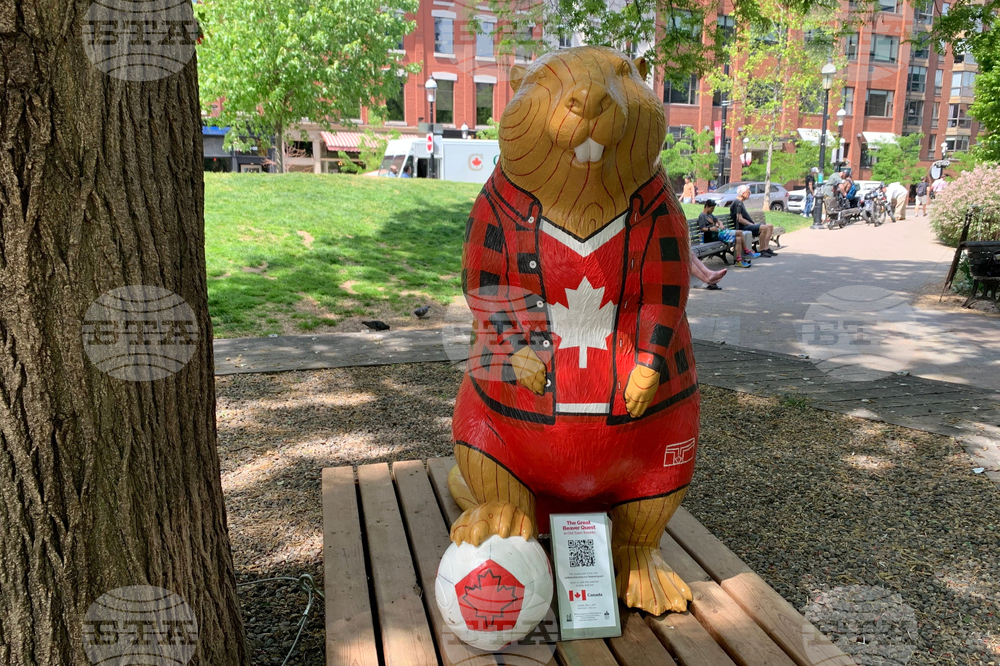 WCup Toronto Beaver Quest Soccer