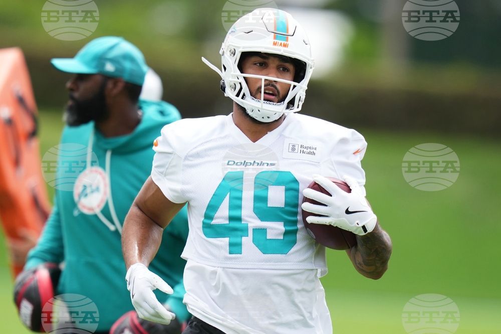 Dolphins Football