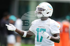 Dolphins Football