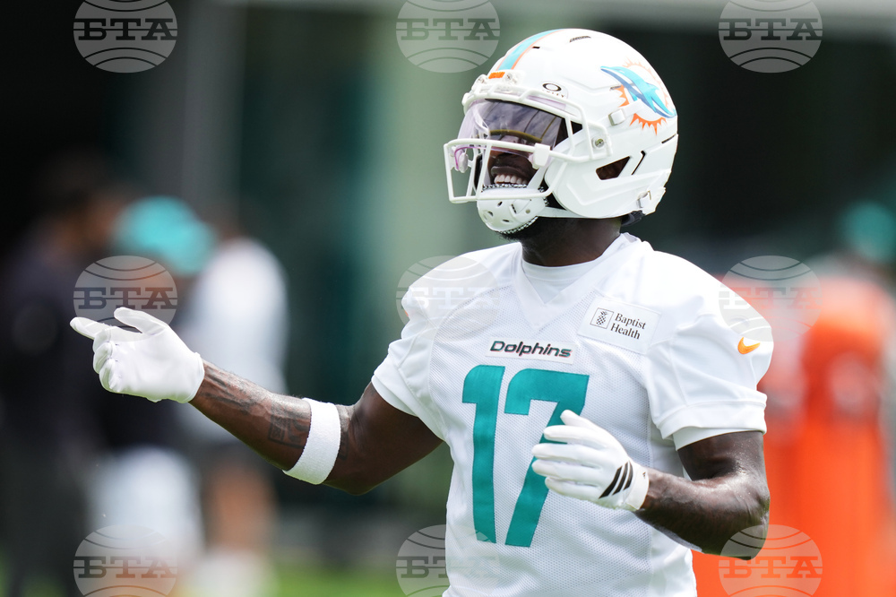 Dolphins Football