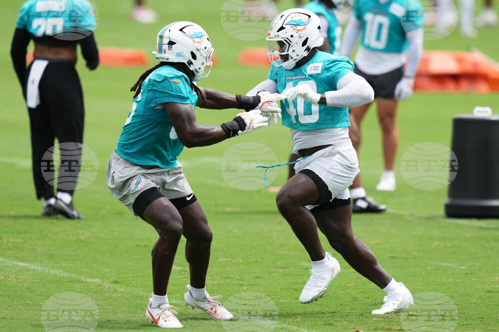 Dolphins Football