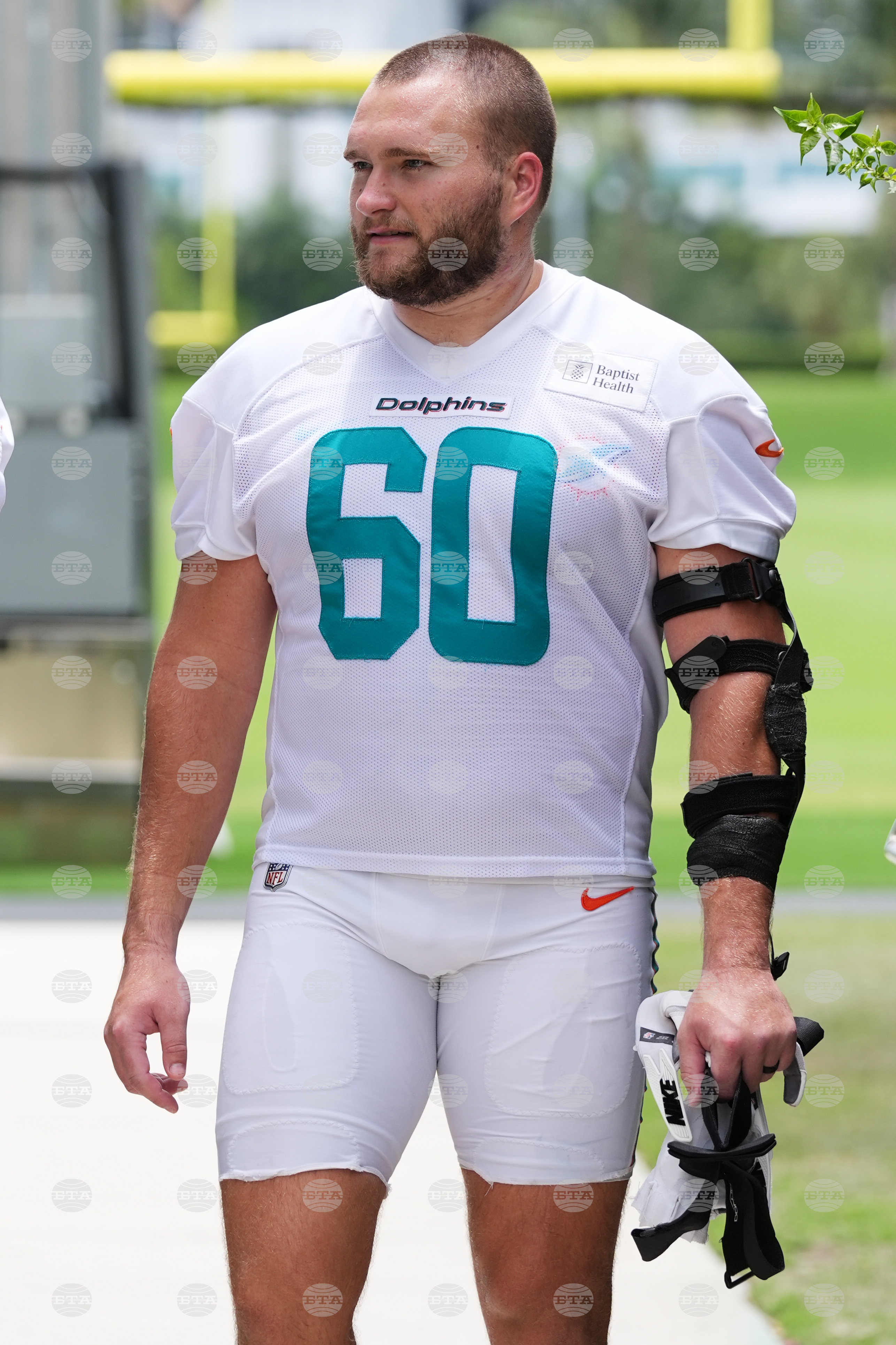 Dolphins Football