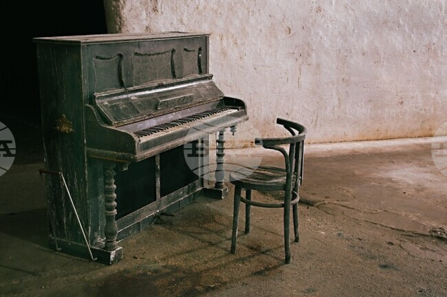 Фотографски проект на Росина Пенчева вдъхнови български композитор в Канада