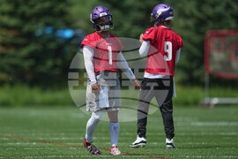 Vikings Football