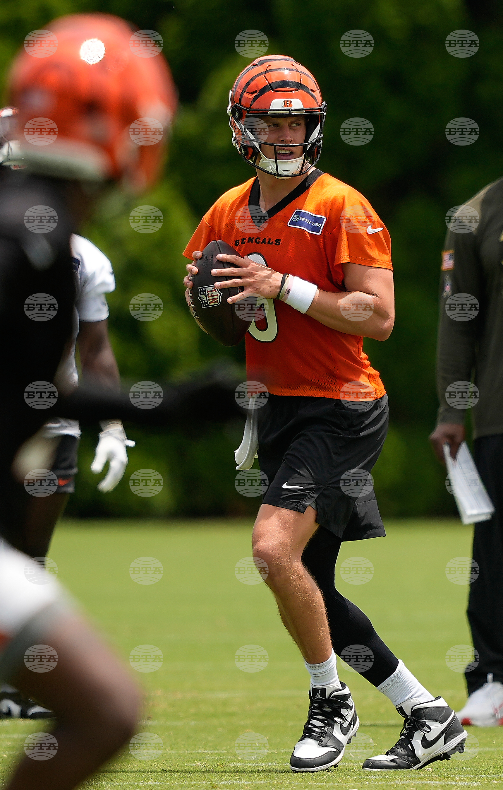 Bengals Football