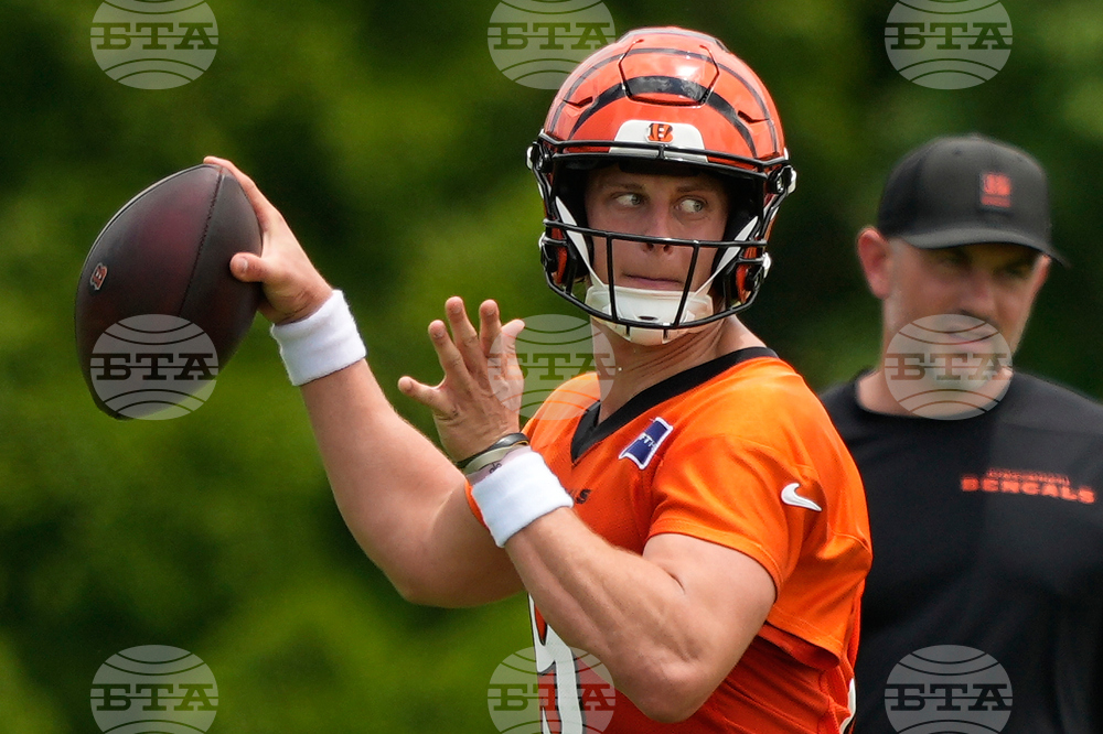 Bengals Football