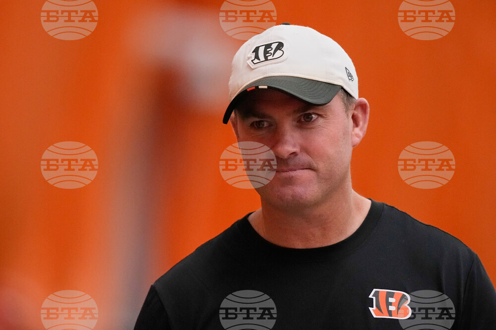 Bengals Football