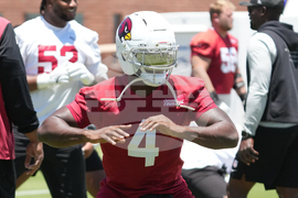 Cardinals Football
