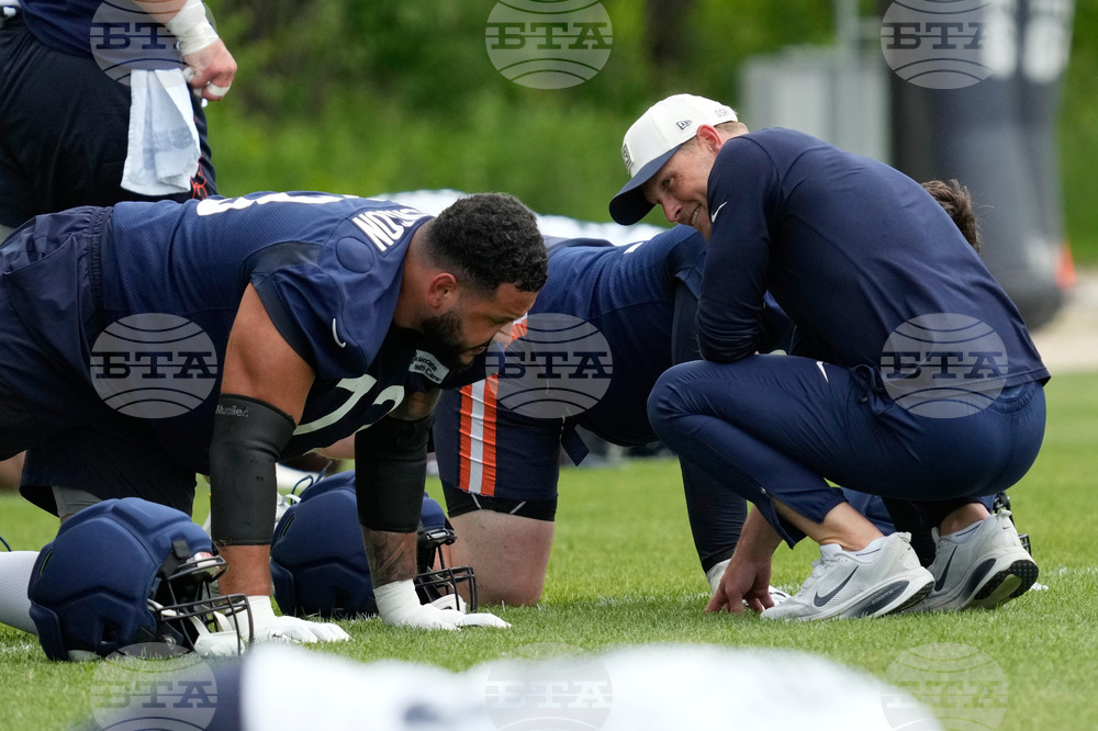 Bears Football