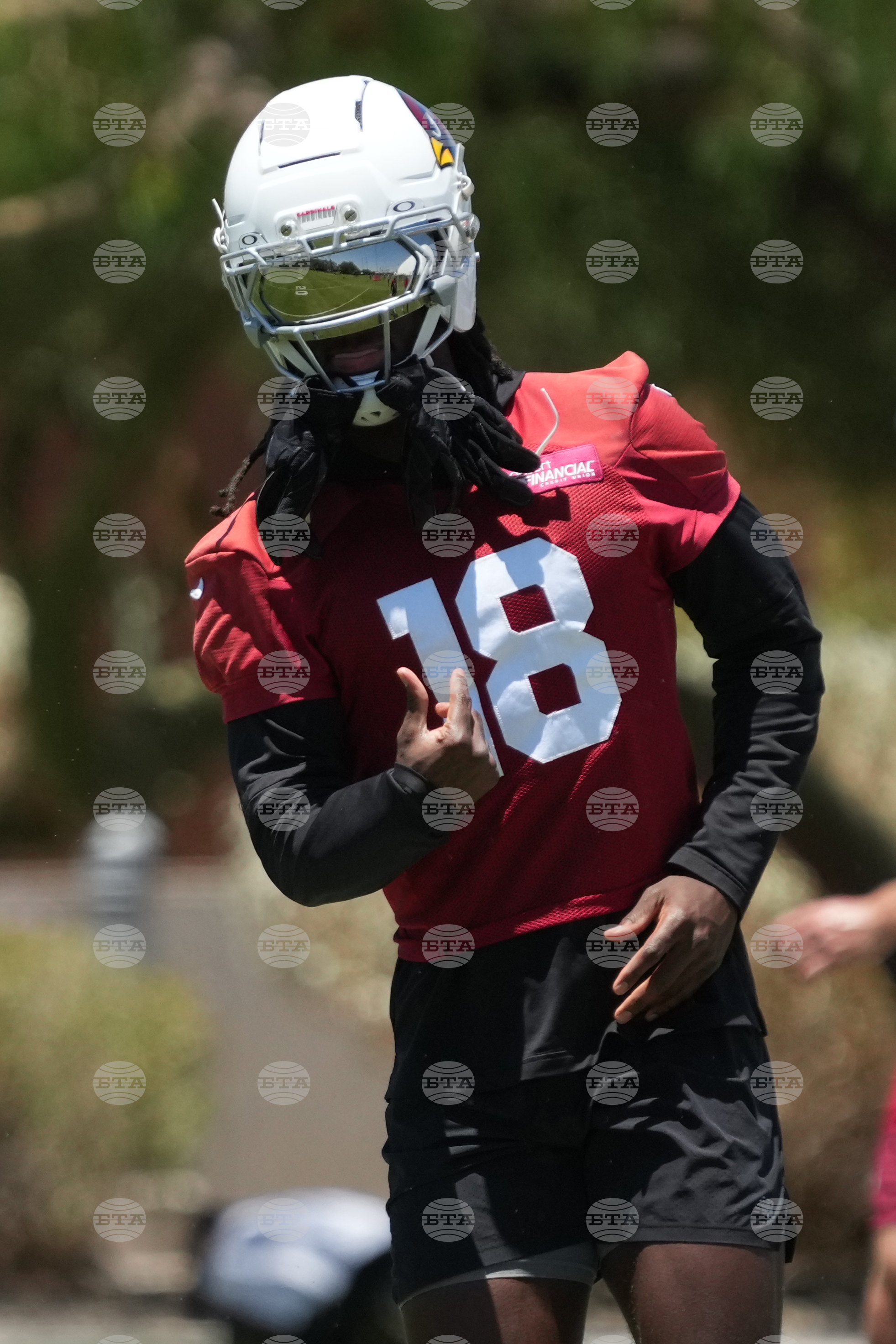 Cardinals Football