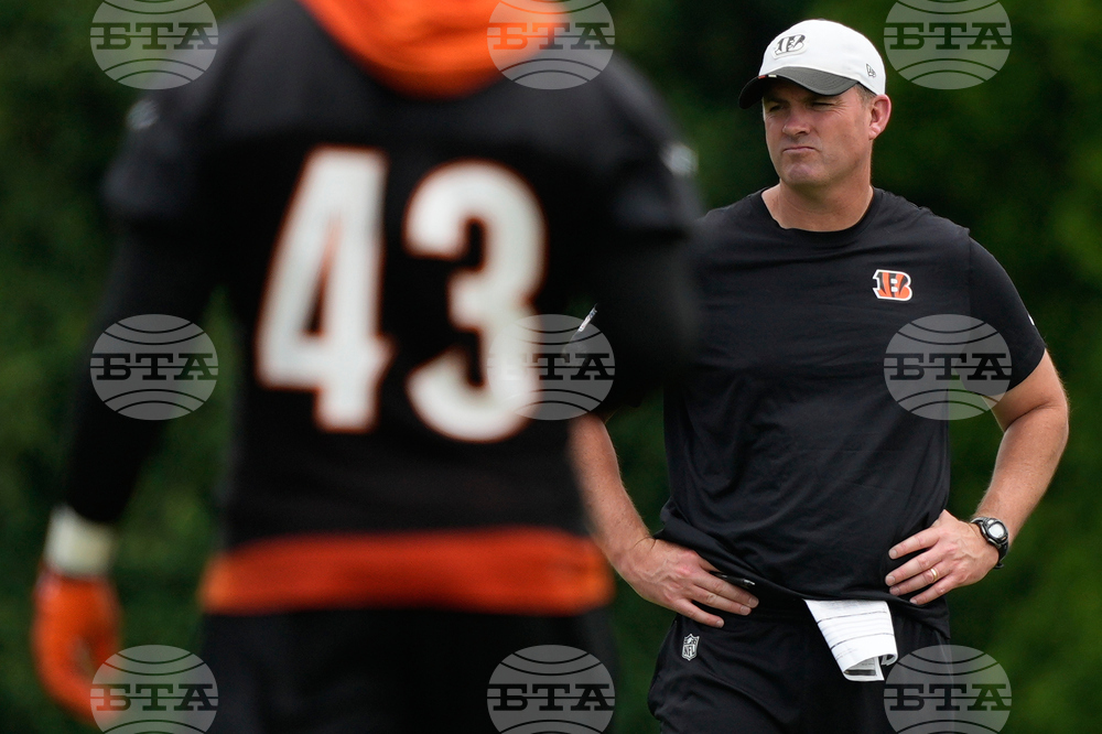 Bengals Football
