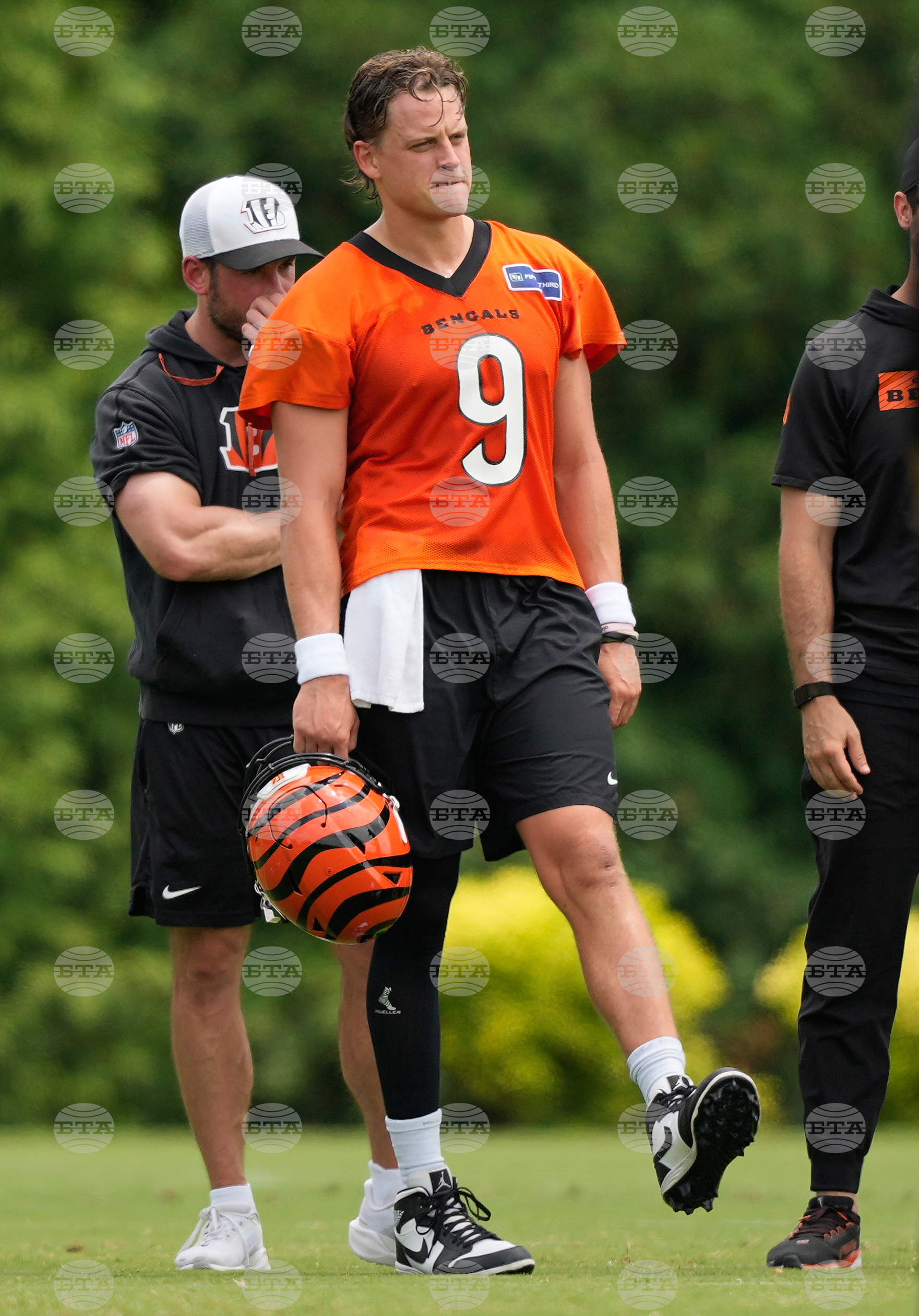 Bengals Football