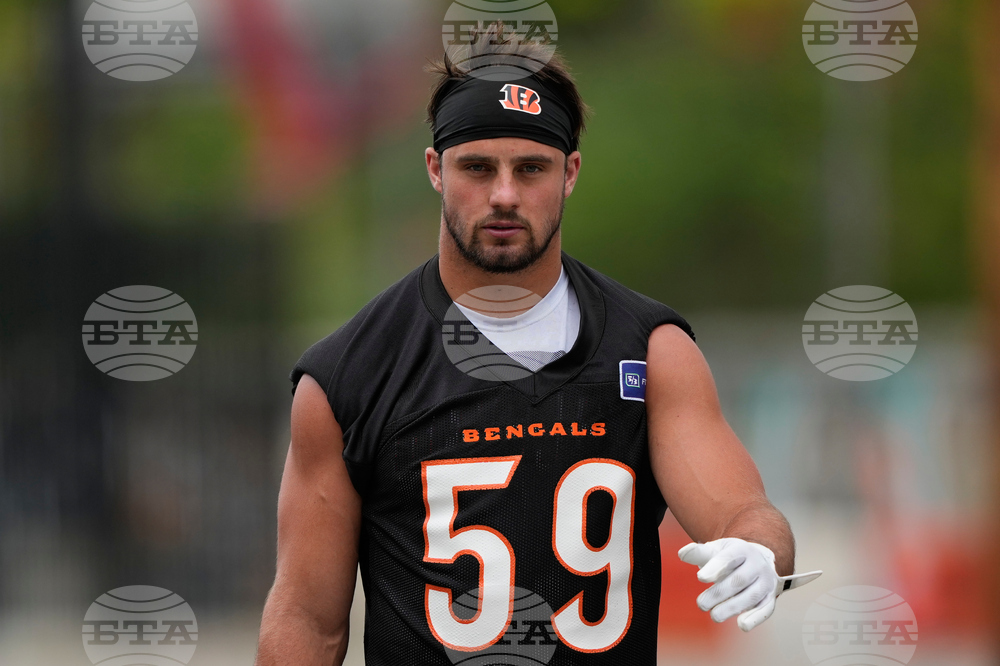 Bengals Football
