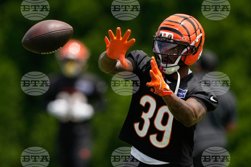 Bengals Football