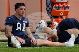 Bears Football