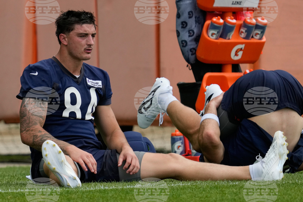 Bears Football