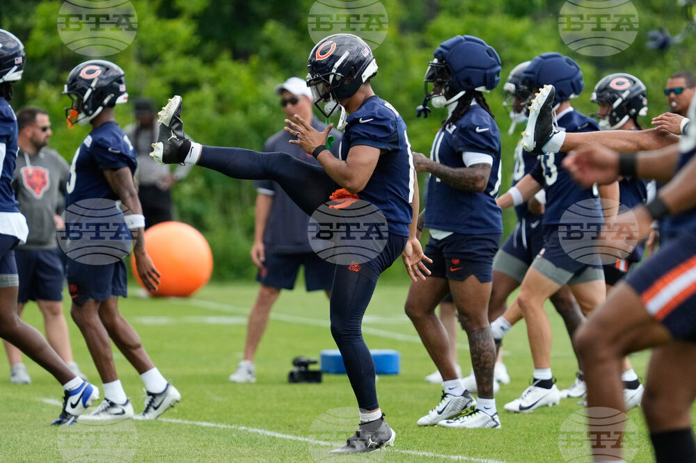 Bears Football