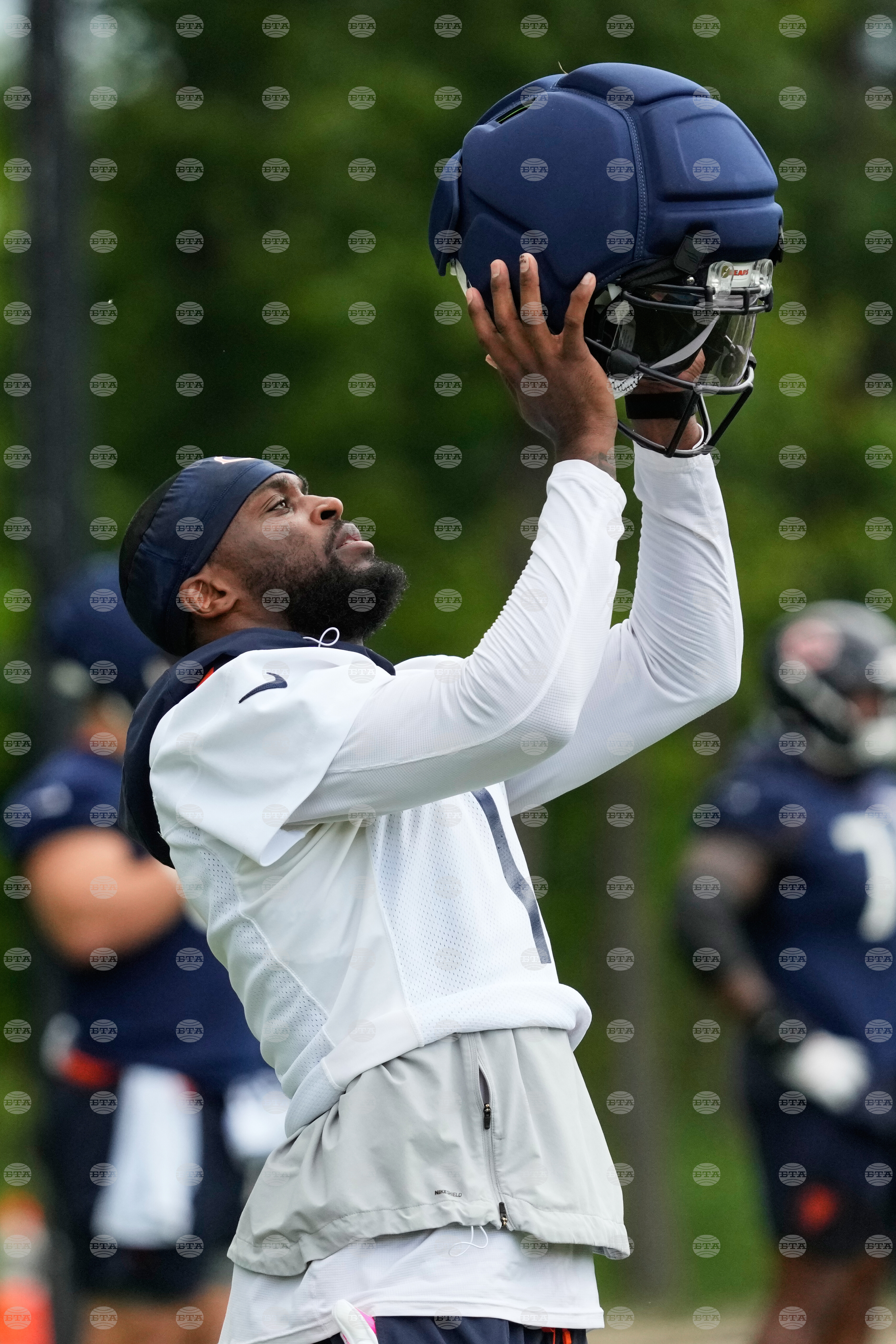 Bears Football
