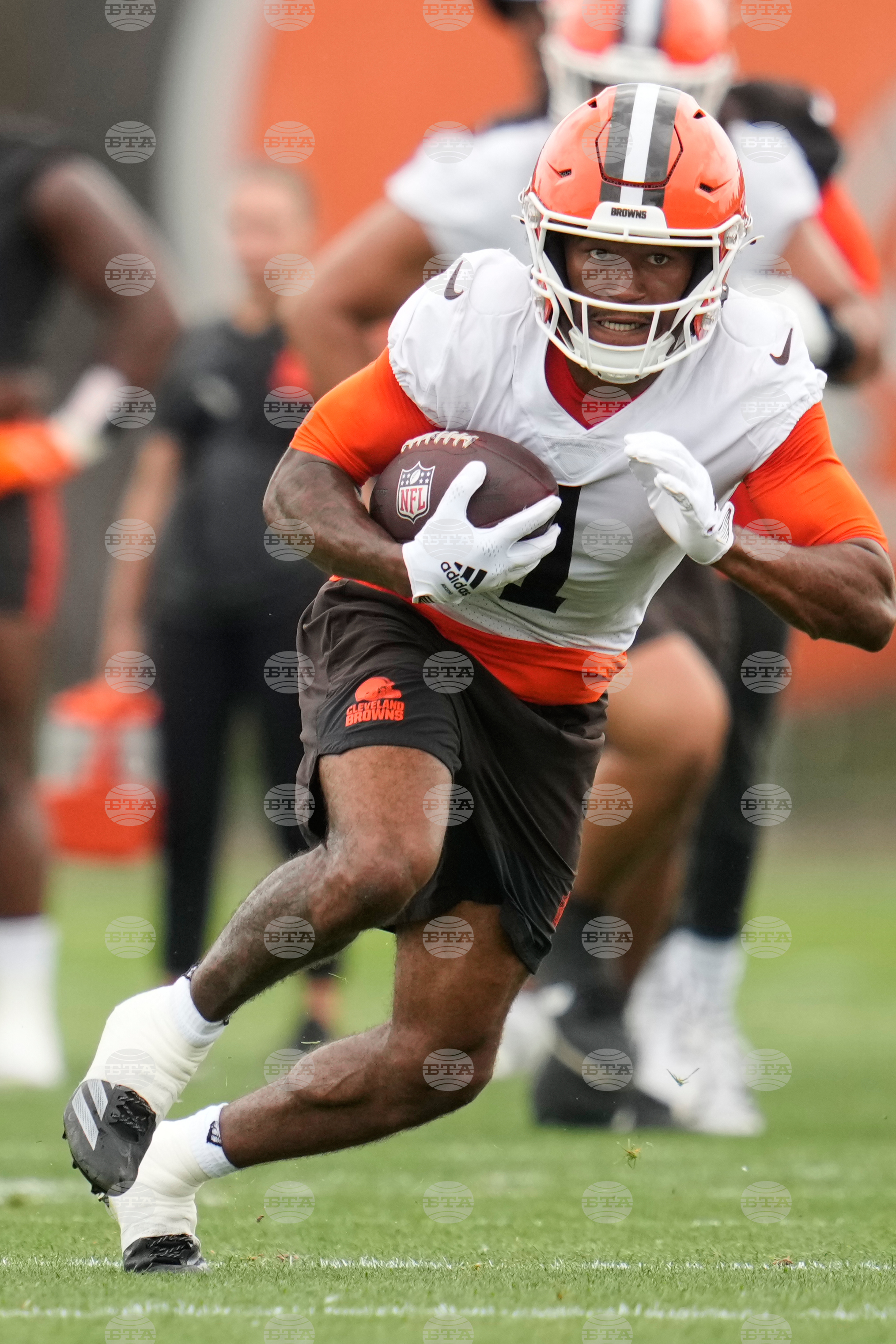 Browns Football