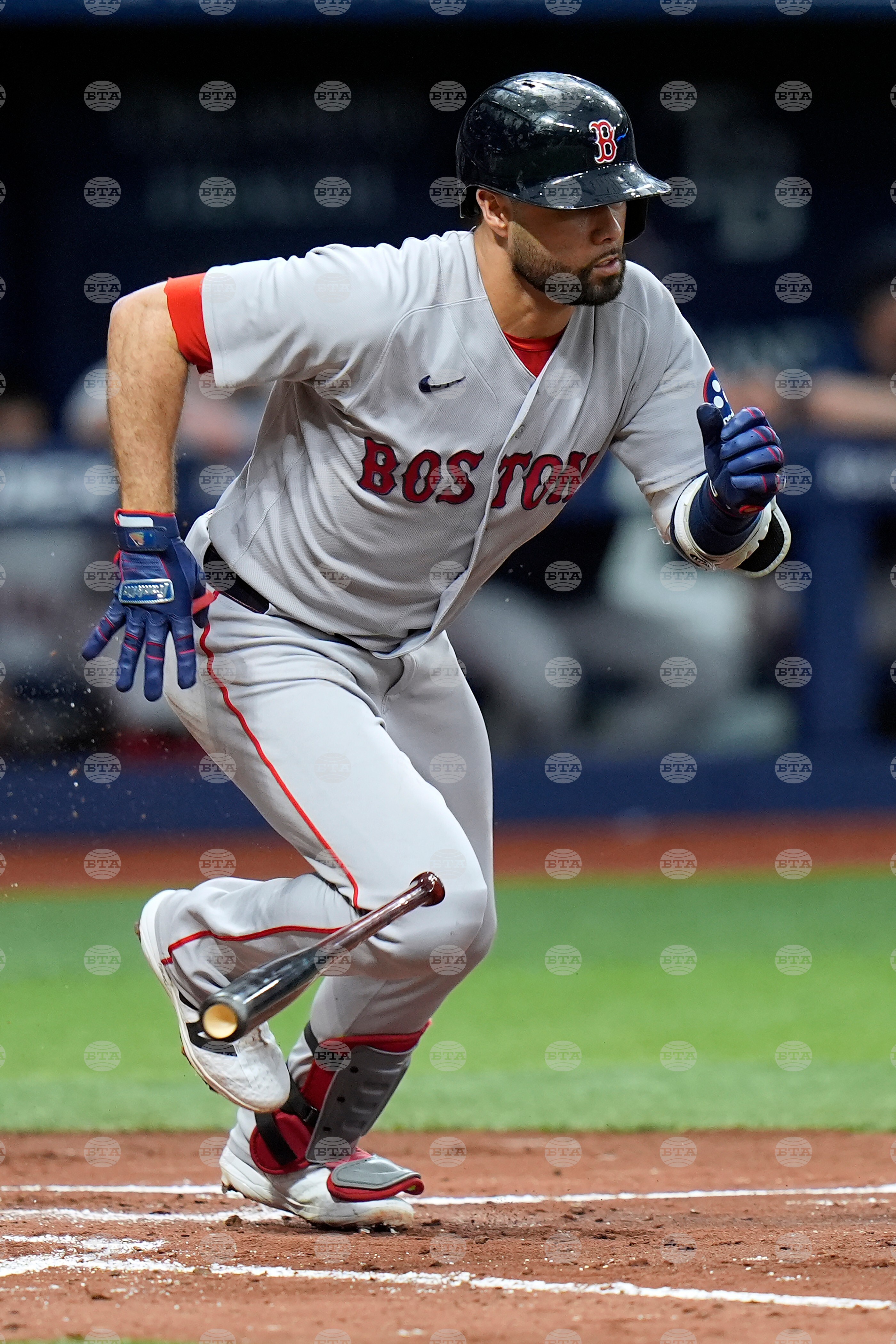 Red Sox Rays Baseball