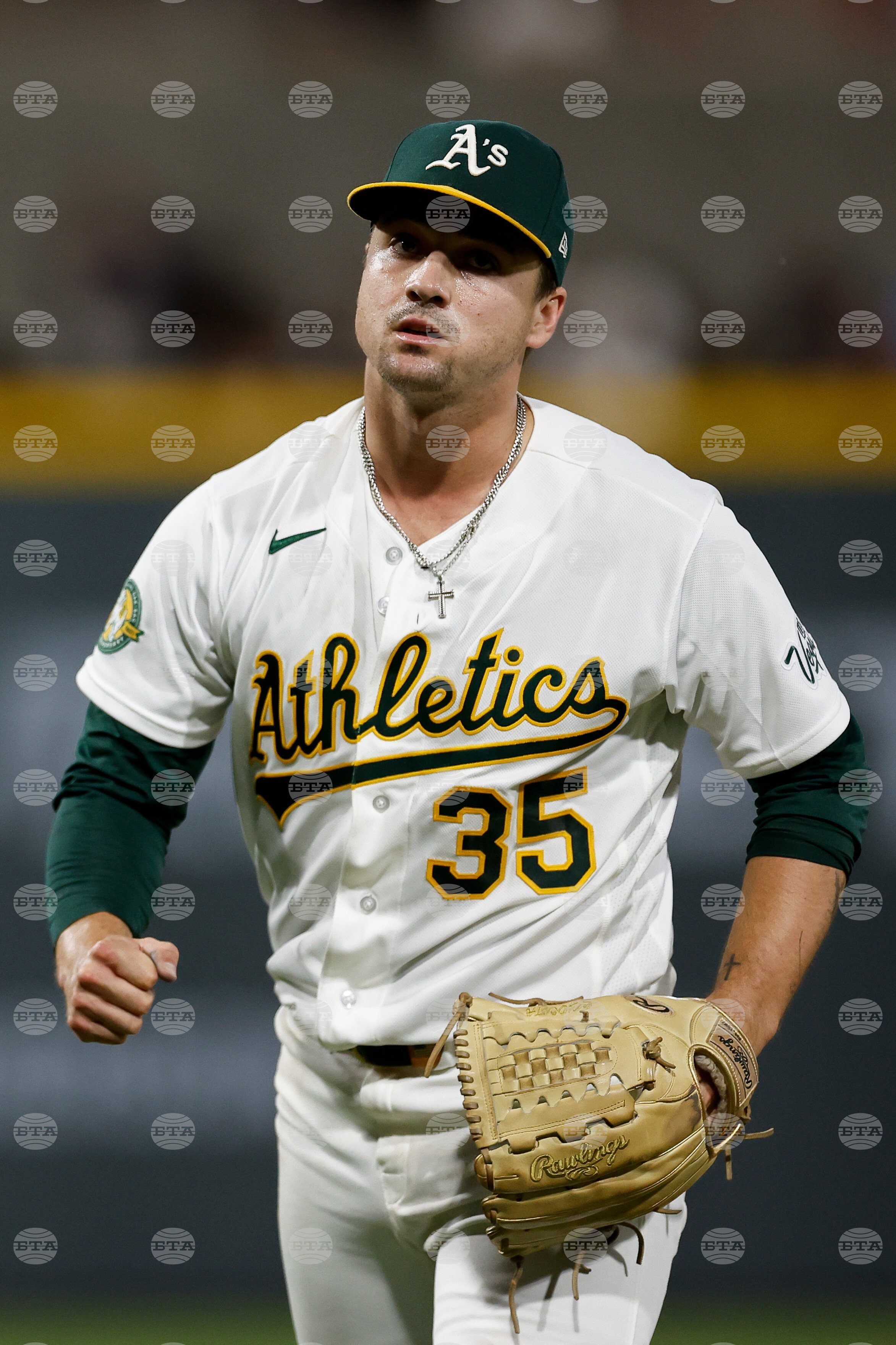 Brewers Athletics Baseball
