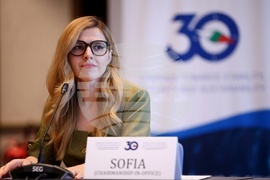 Процес за сътрудничество в Югоизточна Европа - среща на министрите на външните работи