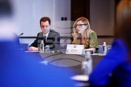 Процес за сътрудничество в Югоизточна Европа - среща на министрите на външните работи