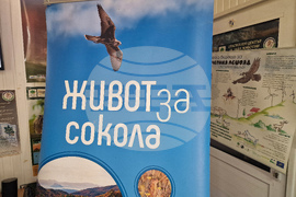 Стара Загора - „Зелени Балкани“ - „Живот за сокола“ - проект