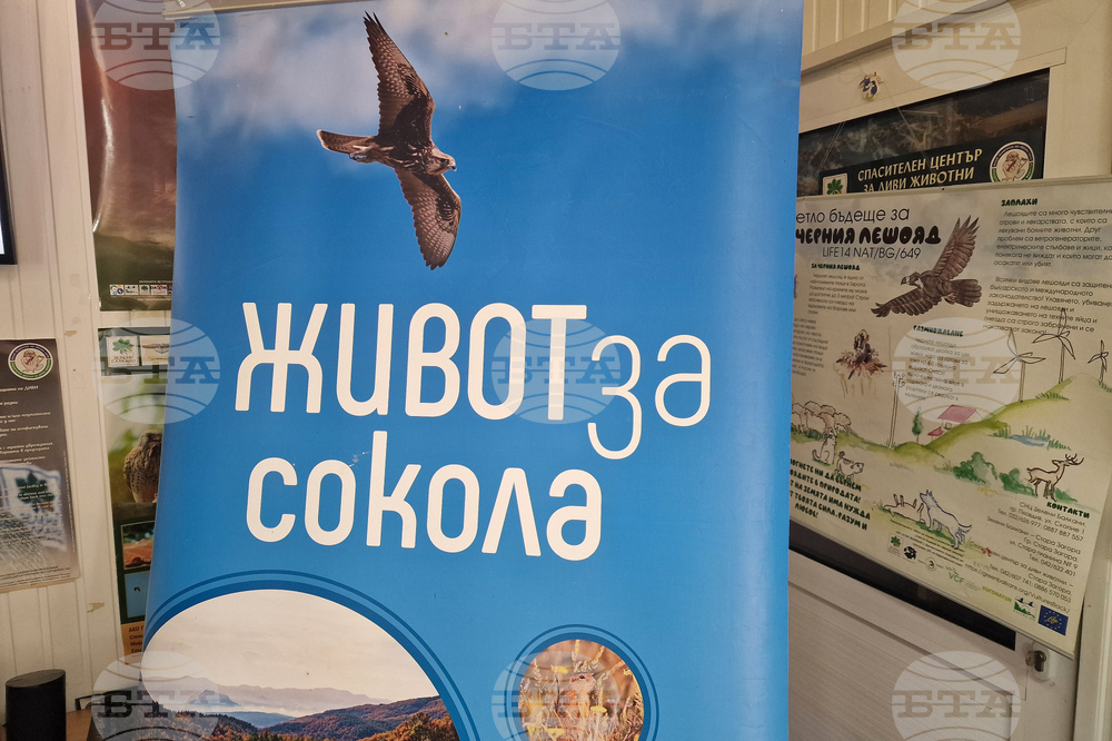 Стара Загора - „Зелени Балкани“ - „Живот за сокола“ - проект